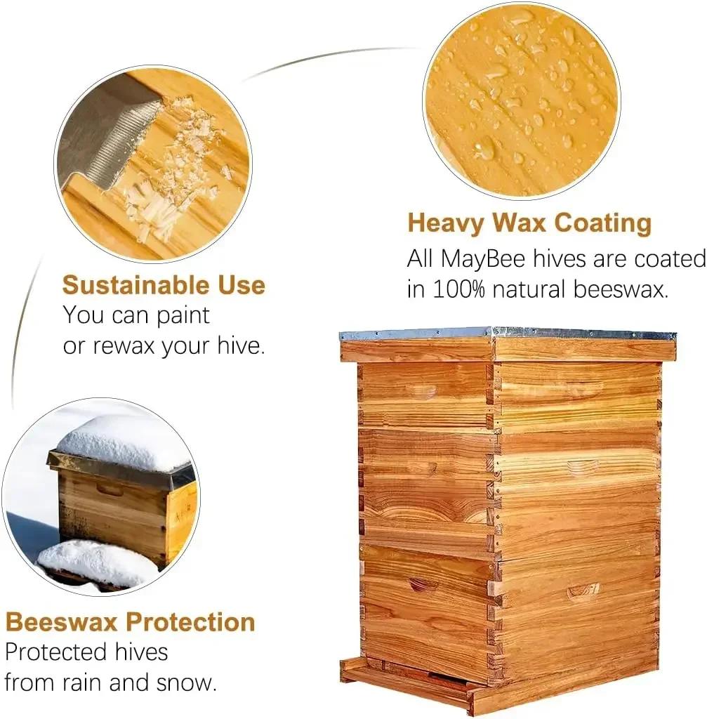 Outdoor Furniture For Sale - [Discounted Price, Hot Sale!]10-Frame Langstroth Beehive
