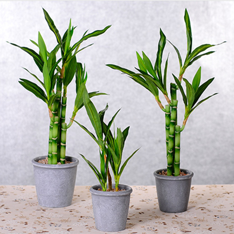 New 40cm rFtificial Lucky Bamb - مراجعة Outdoor Furniture Green وسعره