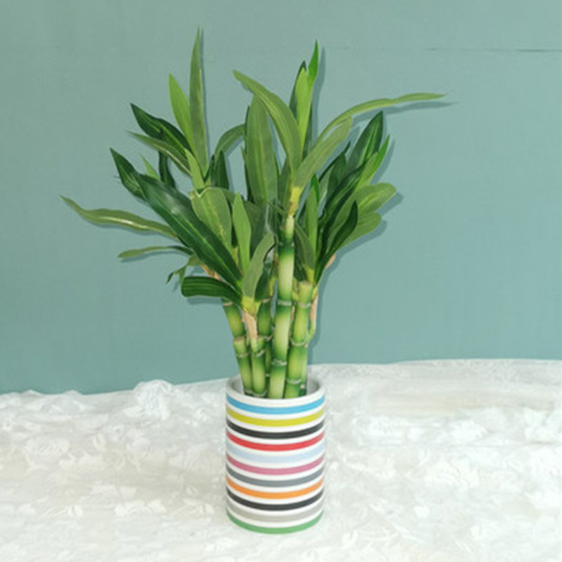 New 40cm rFtificial Lucky Bamb - مراجعة Outdoor Furniture Green وسعره